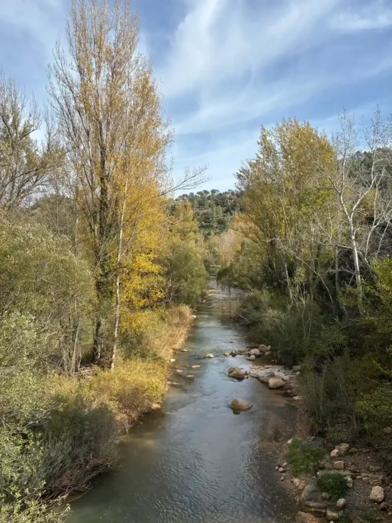 PEÑAS DEL SALTO Y YACIMIENTO LOS MORRONES